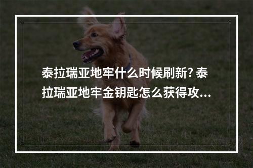 泰拉瑞亚地牢什么时候刷新? 泰拉瑞亚地牢金钥匙怎么获得攻略详解