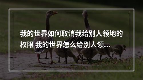 我的世界如何取消我给别人领地的权限 我的世界怎么给别人领地权限指令攻略一览