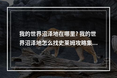 我的世界沼泽地在哪里? 我的世界沼泽地怎么找史莱姆攻略集锦