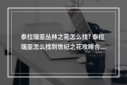 泰拉瑞亚丛林之花怎么找? 泰拉瑞亚怎么找到世纪之花攻略合集