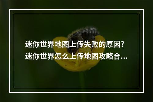 迷你世界地图上传失败的原因? 迷你世界怎么上传地图攻略合集