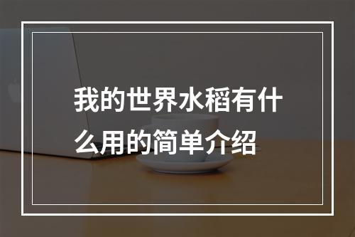 我的世界水稻有什么用的简单介绍