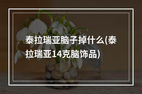 泰拉瑞亚脑子掉什么(泰拉瑞亚14克脑饰品)