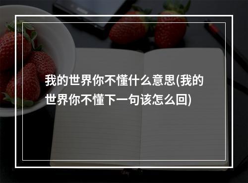 我的世界你不懂什么意思(我的世界你不懂下一句该怎么回)