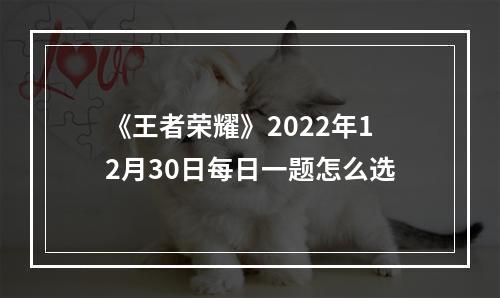 《王者荣耀》2022年12月30日每日一题怎么选