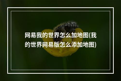 网易我的世界怎么加地图(我的世界网易版怎么添加地图)