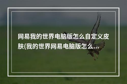 网易我的世界电脑版怎么自定义皮肤(我的世界网易电脑版怎么换自定义皮肤)