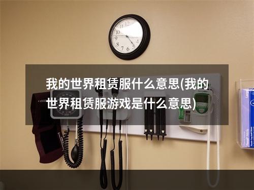 我的世界租赁服什么意思(我的世界租赁服游戏是什么意思)