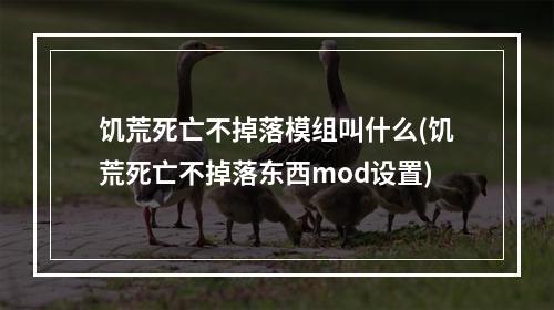 饥荒死亡不掉落模组叫什么(饥荒死亡不掉落东西mod设置)