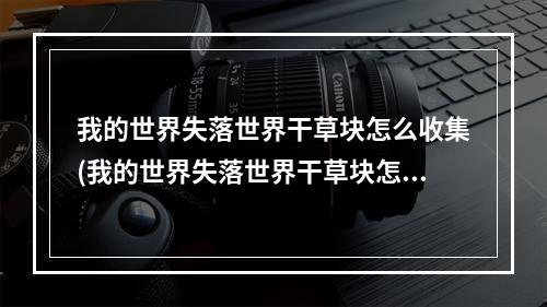 我的世界失落世界干草块怎么收集(我的世界失落世界干草块怎么收集?)