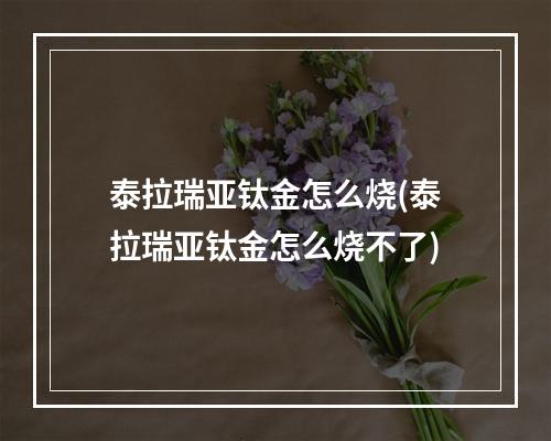 泰拉瑞亚钛金怎么烧(泰拉瑞亚钛金怎么烧不了)