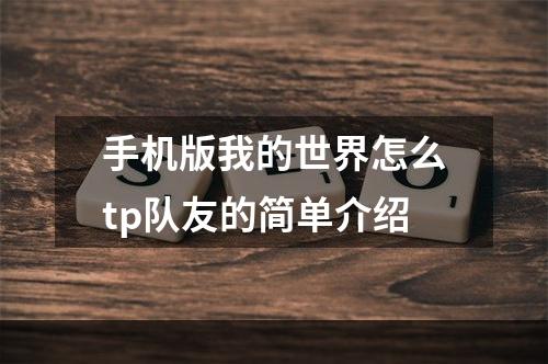 手机版我的世界怎么tp队友的简单介绍