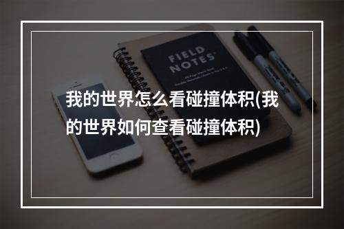 我的世界怎么看碰撞体积(我的世界如何查看碰撞体积)