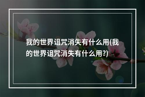 我的世界诅咒消失有什么用(我的世界诅咒消失有什么用?)