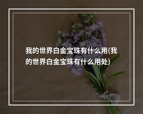 我的世界白金宝珠有什么用(我的世界白金宝珠有什么用处)