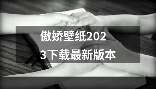 傲娇壁纸2023下载最新版本