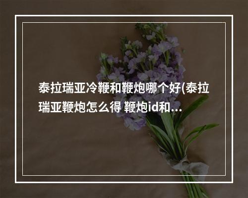 泰拉瑞亚冷鞭和鞭炮哪个好(泰拉瑞亚鞭炮怎么得 鞭炮id和获得方法)