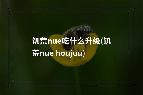 饥荒nue吃什么升级(饥荒nue houjuu)