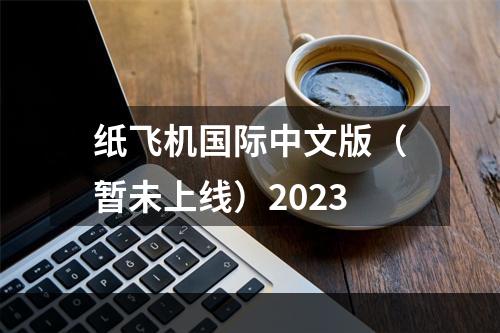 纸飞机国际中文版（暂未上线）2023