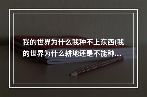 我的世界为什么我种不上东西(我的世界为什么耕地还是不能种种子)