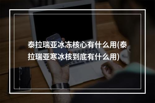 泰拉瑞亚冰冻核心有什么用(泰拉瑞亚寒冰核到底有什么用)