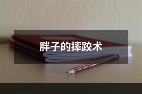 胖子的摔跤术