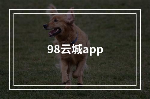 98云城app