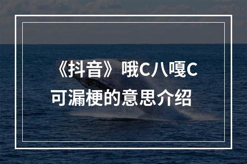 《抖音》哦C八嘎C可漏梗的意思介绍