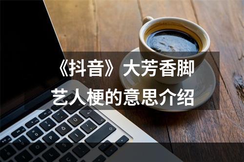 《抖音》大芳香脚艺人梗的意思介绍