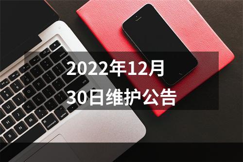 2022年12月30日维护公告