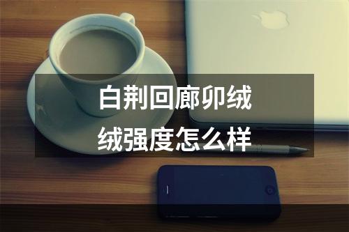 白荆回廊卯绒绒强度怎么样