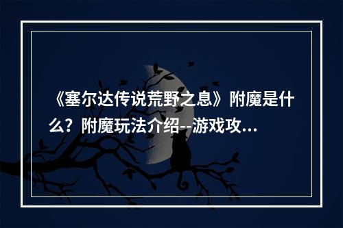 《塞尔达传说荒野之息》附魔是什么？附魔玩法介绍--游戏攻略网