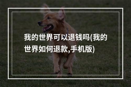 我的世界可以退钱吗(我的世界如何退款,手机版)