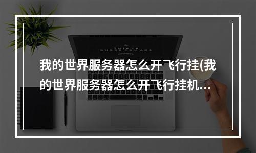 我的世界服务器怎么开飞行挂(我的世界服务器怎么开飞行挂机)