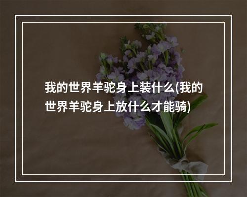 我的世界羊驼身上装什么(我的世界羊驼身上放什么才能骑)