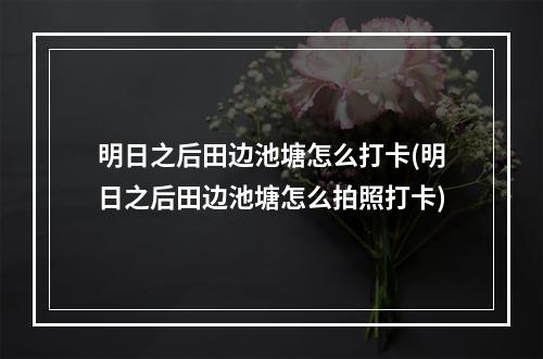 明日之后田边池塘怎么打卡(明日之后田边池塘怎么拍照打卡)