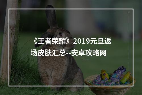 《王者荣耀》2019元旦返场皮肤汇总--安卓攻略网