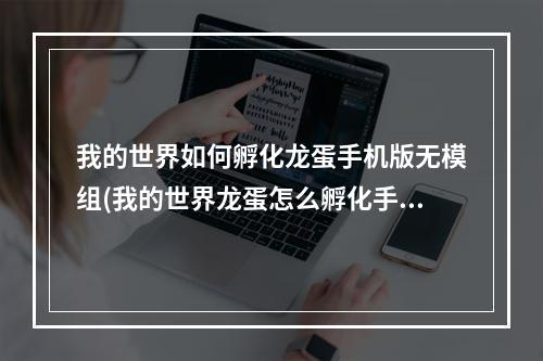 我的世界如何孵化龙蛋手机版无模组(我的世界龙蛋怎么孵化手机版不用模组)