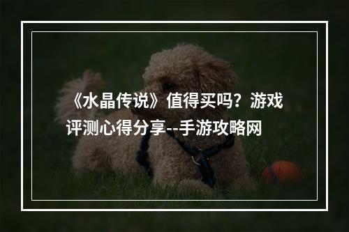 《水晶传说》值得买吗？游戏评测心得分享--手游攻略网