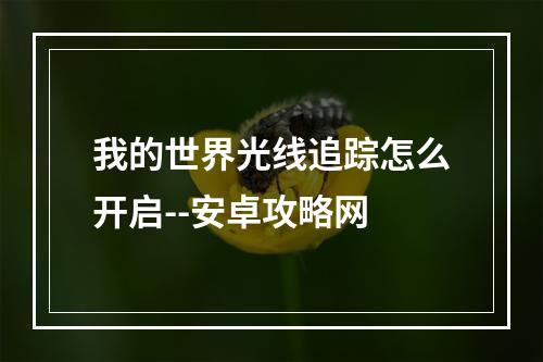 我的世界光线追踪怎么开启--安卓攻略网