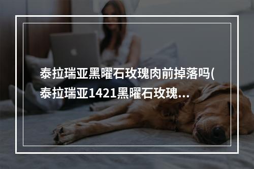 泰拉瑞亚黑曜石玫瑰肉前掉落吗(泰拉瑞亚1421黑曜石玫瑰)