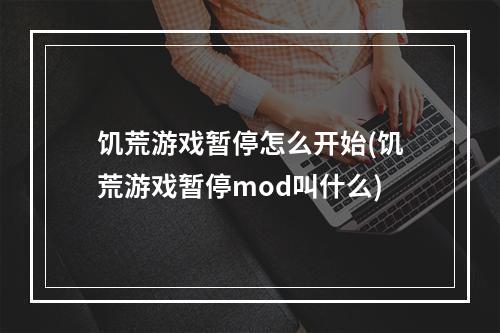 饥荒游戏暂停怎么开始(饥荒游戏暂停mod叫什么)