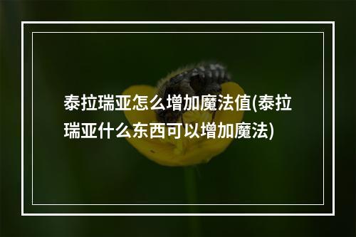 泰拉瑞亚怎么增加魔法值(泰拉瑞亚什么东西可以增加魔法)