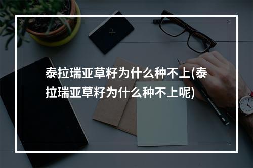 泰拉瑞亚草籽为什么种不上(泰拉瑞亚草籽为什么种不上呢)