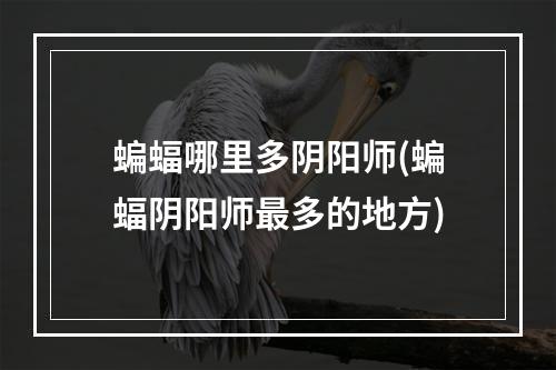 蝙蝠哪里多阴阳师(蝙蝠阴阳师最多的地方)