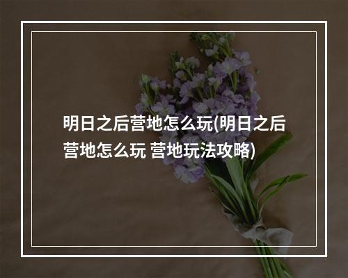 明日之后营地怎么玩(明日之后营地怎么玩 营地玩法攻略)