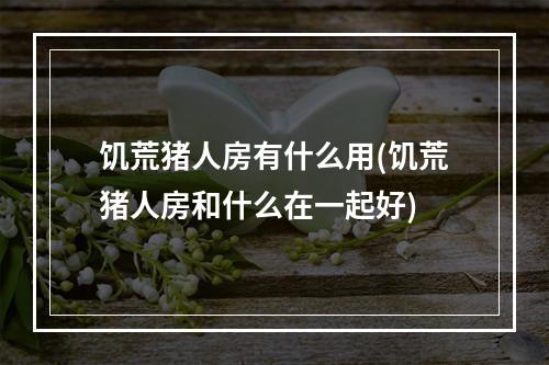 饥荒猪人房有什么用(饥荒猪人房和什么在一起好)