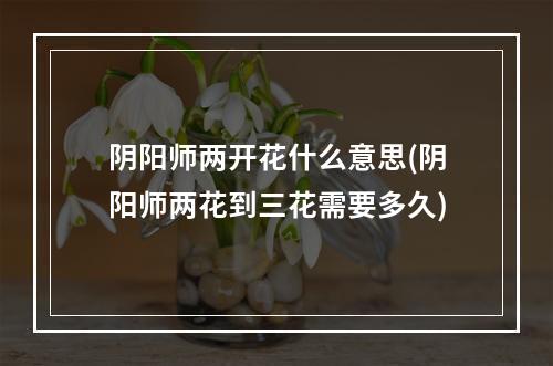 阴阳师两开花什么意思(阴阳师两花到三花需要多久)