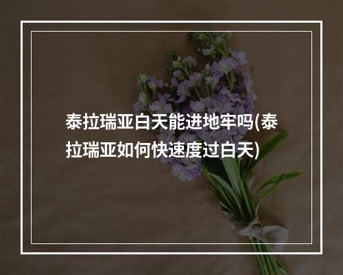 泰拉瑞亚白天能进地牢吗(泰拉瑞亚如何快速度过白天)