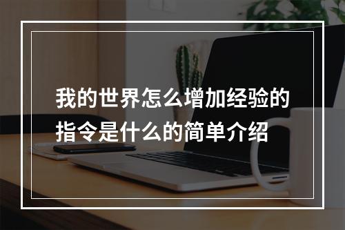 我的世界怎么增加经验的指令是什么的简单介绍